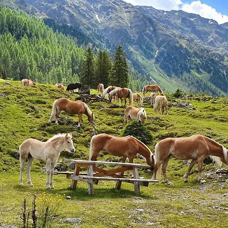 Gaestehaus Tyrol Penzion 3*