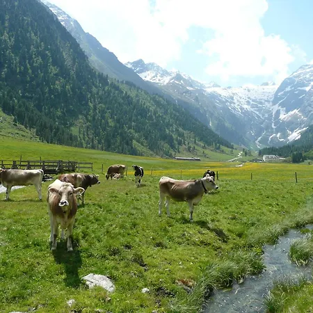 Gastehaus Landhaus Tyrol Грис-им-Зельрайн