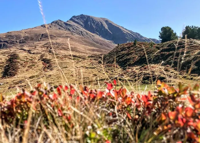 Gaestehaus Tyrol Casa de hóspedes 3*