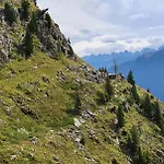 Gaestehaus Tyrol ゲストハウス グリース・イム・ゼルライン