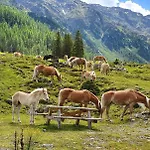Gaestehaus Tyrol Maison d'hôtes 3*